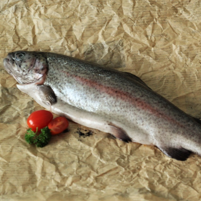 greenox forelle bio kaufen