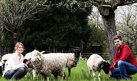 Herzlich Willkommen bei GreenOx! - GreenOx - Feinstes Weidefleisch aus Deutschland