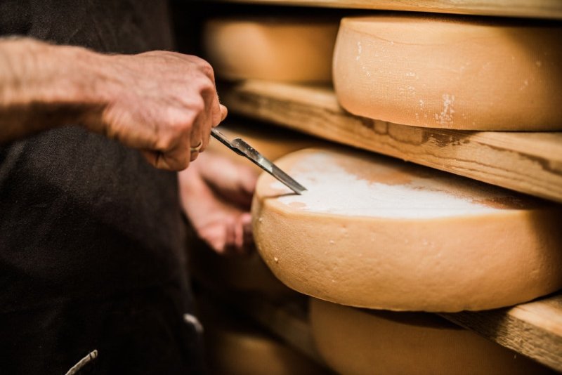 Käse aus deutscher Weidemilch - GreenOx - Feinstes Weidefleisch aus Deutschland